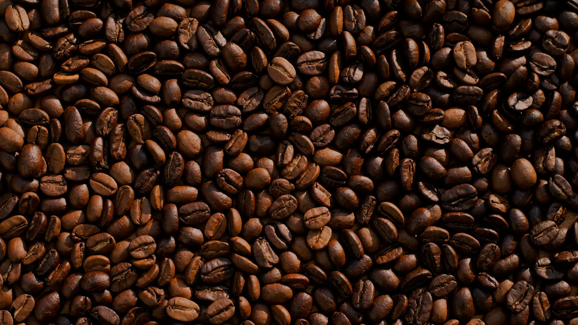 Dark roasted coffee beans close-up